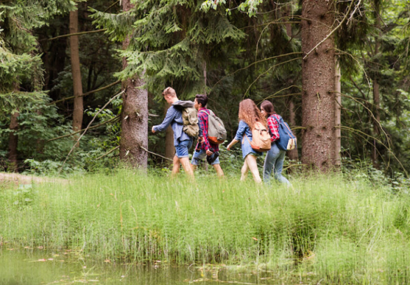 nature walks impact brain creativity