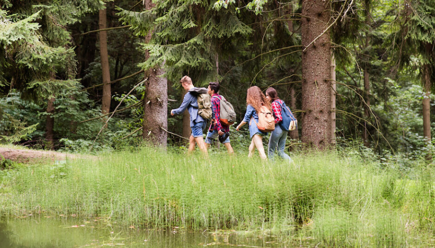 nature walks impact brain creativity